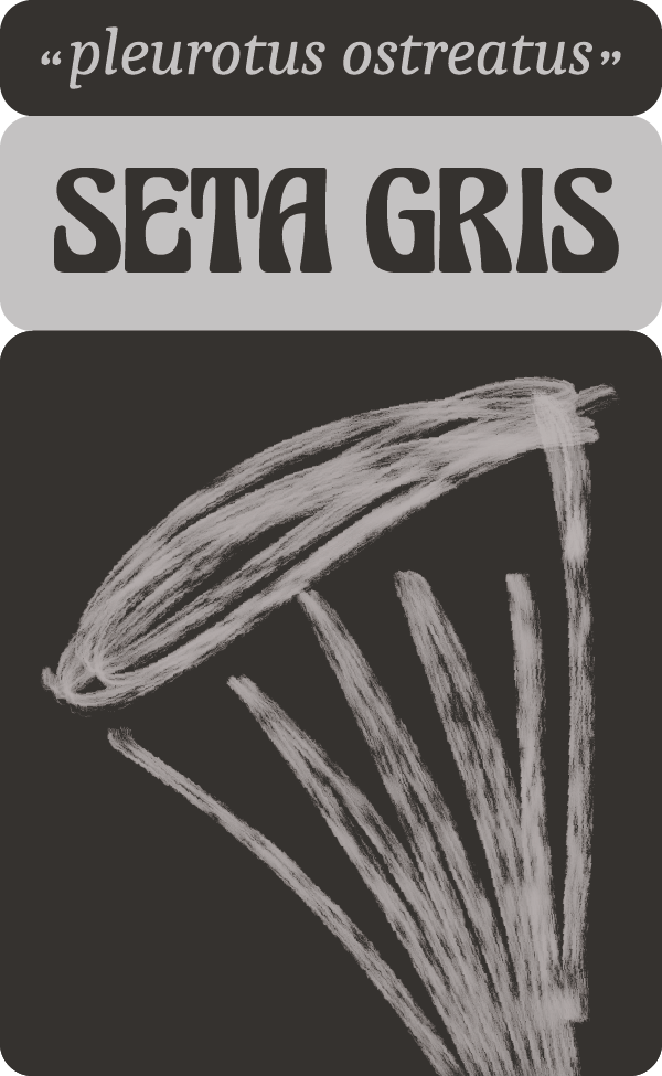 Habitual Superalimentos